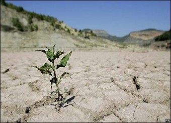 خشکسالی در فارس