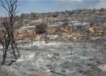 آتش‌سوزی جنگل‌های فیروزآباد به طور کامل مهار شد