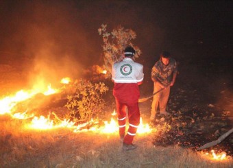 بیش از60 هکتار از منابع طبیعی سپیدان در آتش سوخت