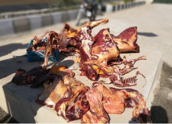 فروشنده گوشت الاغ در کازرون به شلاق در ملاء عام و زندان محکوم شد