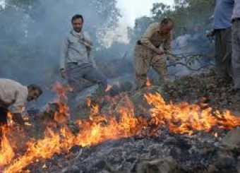 کاهش آتش سوزی در اراضی استان فارس/ بذرکاری در بیش از 2هزار هکتار از اراضی ملی