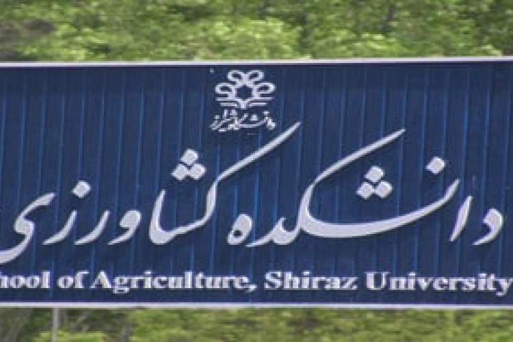 افتخاری دیگر از بانوی عضو هیئت علمی دانشگاه شیراز در عرصه جهانی