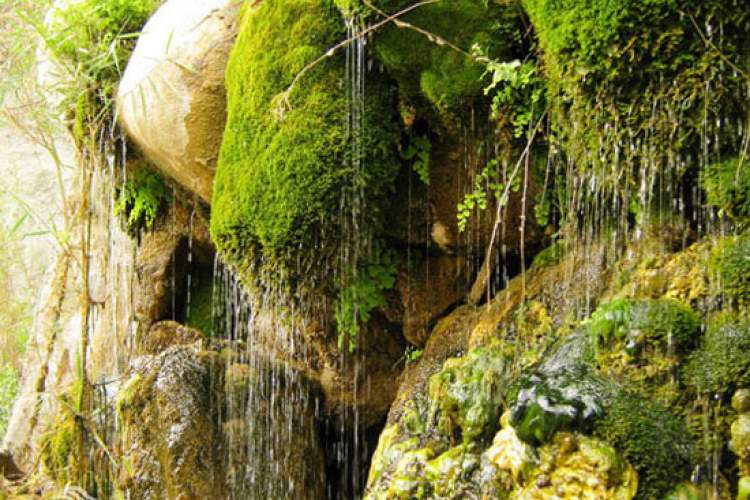 آبشار زیبای تنگ دم اسب شیراز طبیعتی بکر و دل‌انگیز در دل استان فارس (+ عکس)
