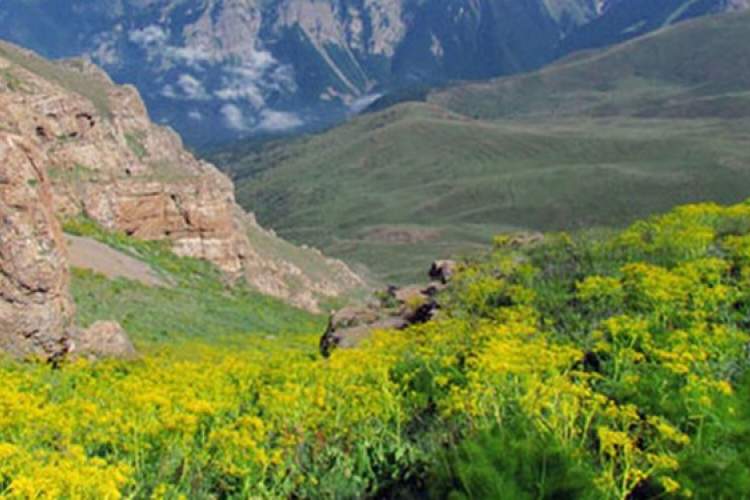 خطری هولناک‌تر از سیل در کمین منابع طبیعی فارس
