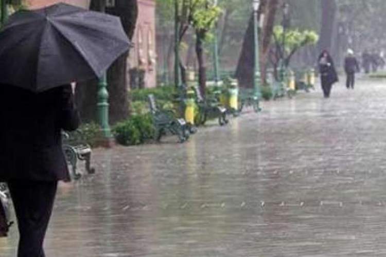 تدوام بارش باران بهاري در استان تا فردا