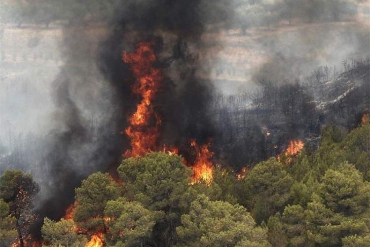 تدابیر لازم برای پيشگيری از وقوع حريق در عرصه های منابع طبیعی شهرستان شیراز