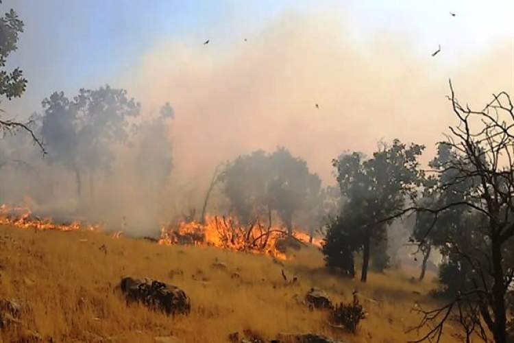 آتش به جان 15 هكتار از اراضي طبيعي فراشبند افتاد
