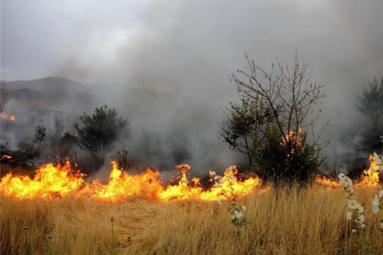 5 هكتار از مراتع طبيعي رستم و 50 هکتار از مزارع فیروزآباد در آتش سوخت