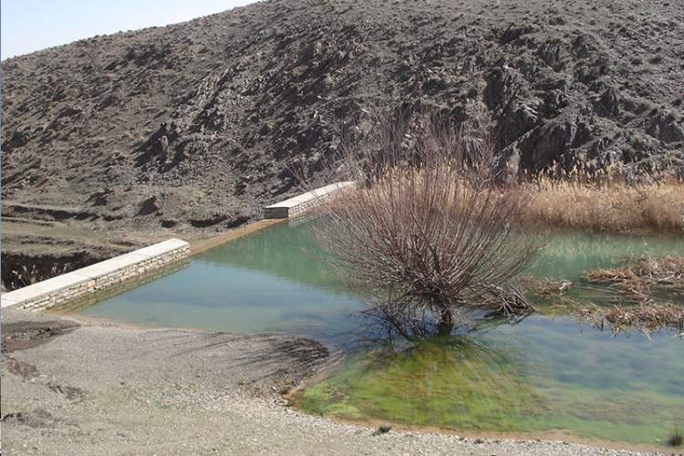 افزایش سه برابری اعتبارات طرح های آبخیزداری و آبخوانداری فارس
