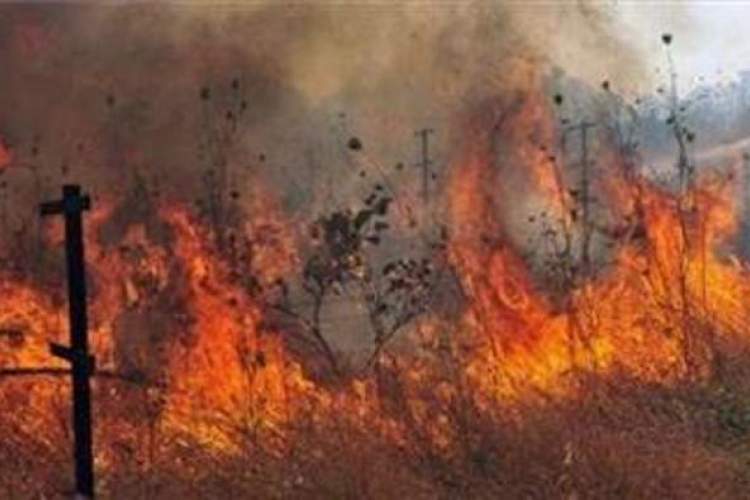 آتش به جان 10 هكتار از اراضي طبيعي افتاد