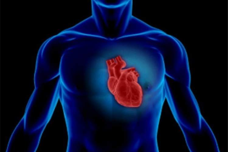 ۵ راهکار ساده برای اینکه از «حمله قلبی» در امان بمانیم