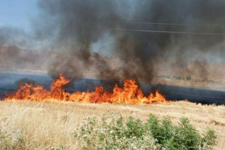 آتش سوزی 30 هکتار از مراتع در اقلید
