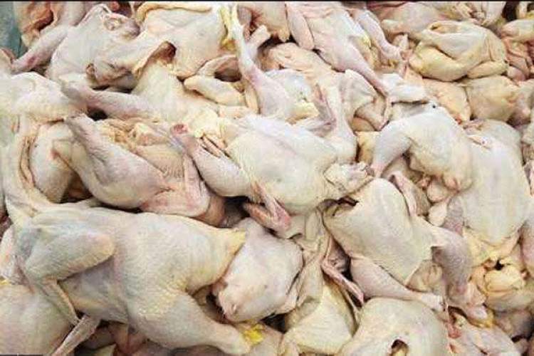 کشف مرغ فاقد مجوز بهداشتی در مرودشت