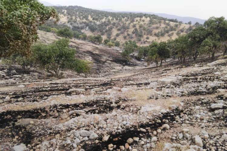 اطفای کامل آتش سوزی عرصه هاي منابع طبيعي شهرستان رستم