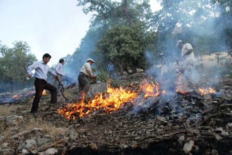 مهار آتش در ارتفاعات صعب العبور منطقه بیضاء شهرستان سپیدان