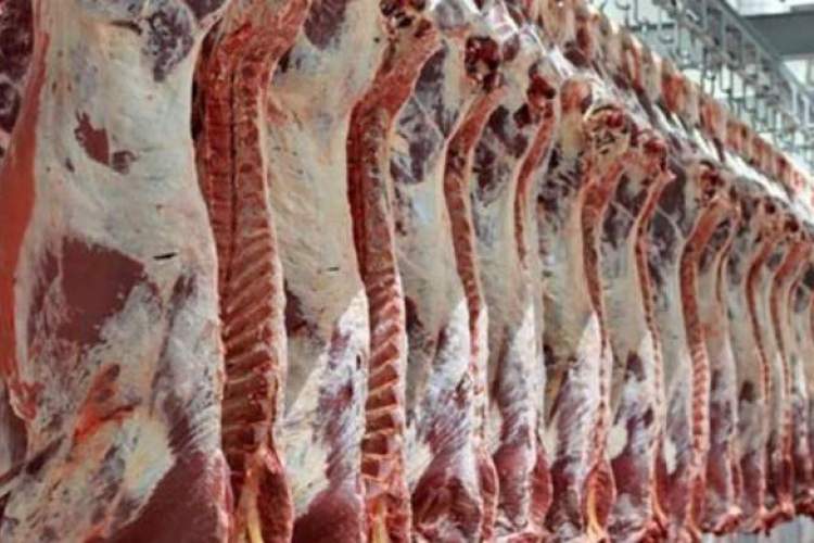 گوشت گوسفندی دوباره گران شد/ هر کیلوگرم تا ۱۳۰ هزار تومان