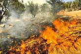 مهار کامل آتش سوزی در منطقه "گود انجیر" شهرستان رستم