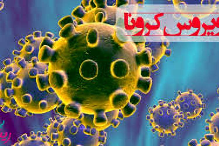 تمهیدات لازم بخش خصوصی و دولتی برای پیشگیری از ویروس کرونا در فارس
