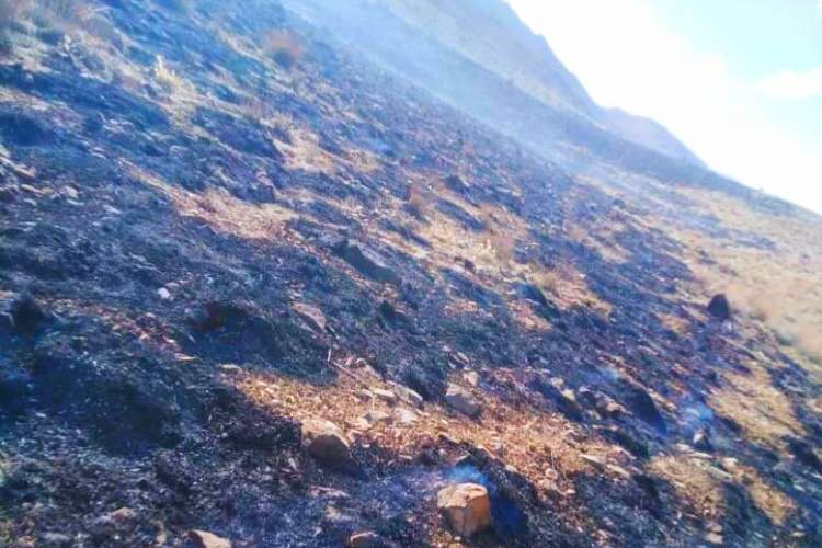 آتش بی‌احتیاطی 2 هکتار از مراتع اقلید را نابود کرد