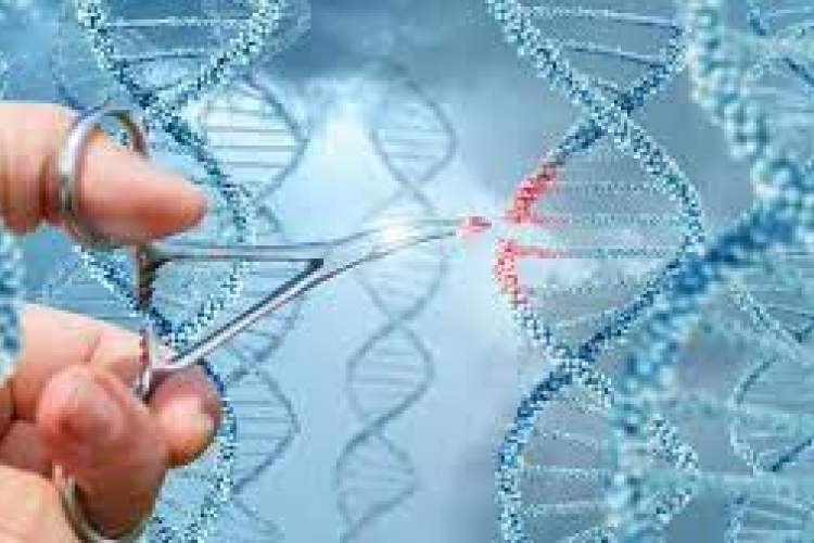 بیش از ۱۱ هزار آزمایش و مشاوره ژنتیک در سال گذشته انجام شد