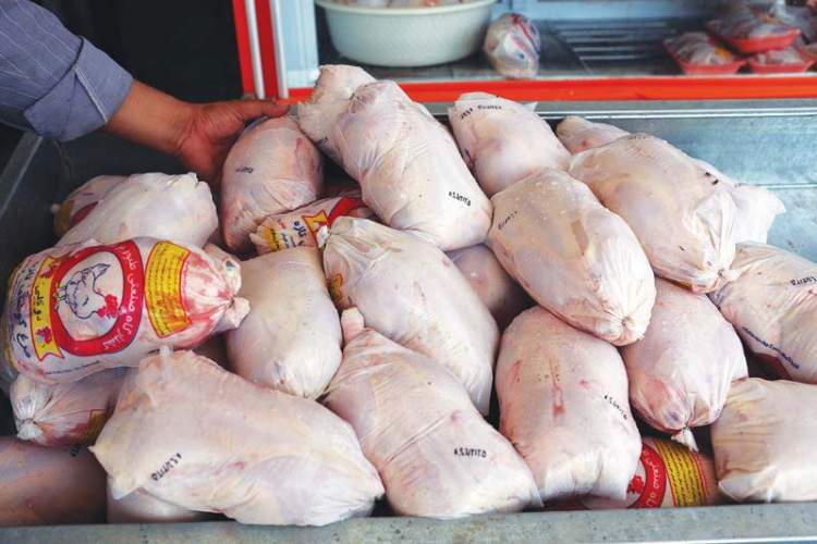 قیمت مرغ در استان تک‌نرخی است