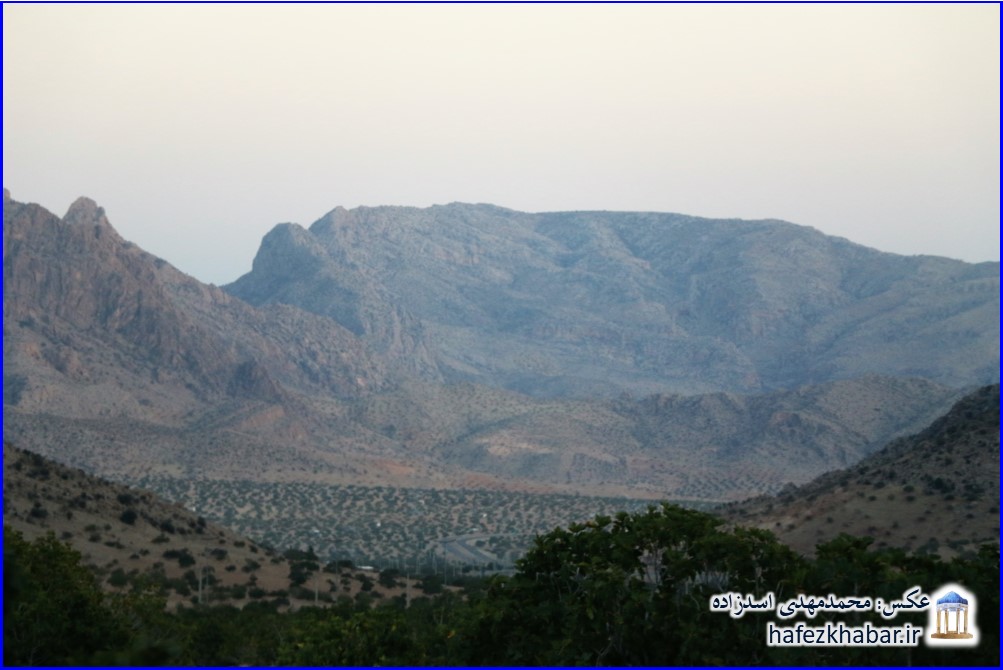 انجیرستان دیم استهبان/ عکس: محمدمهدی اسدزاده