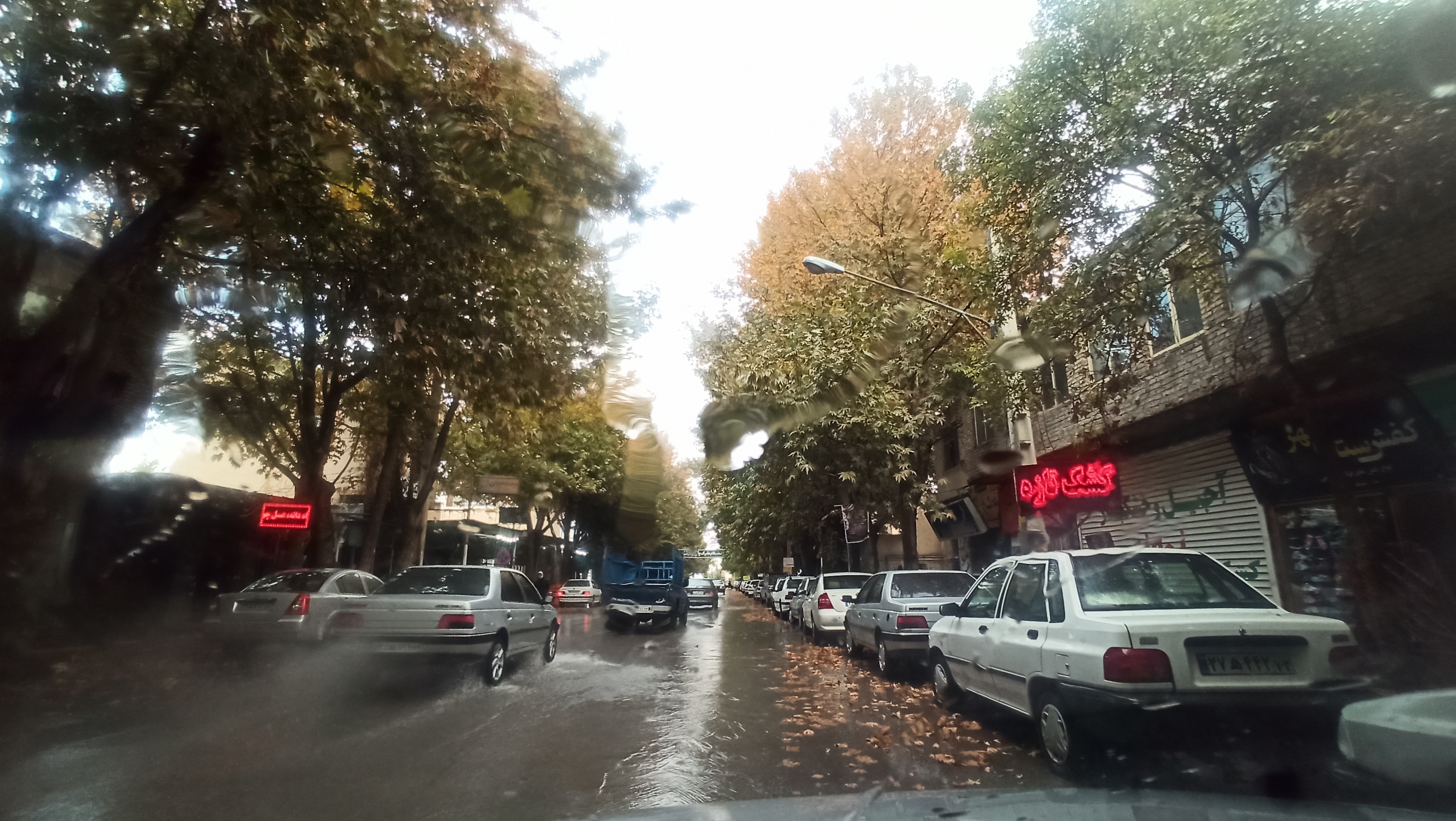 بارندگی در اقلید/ عکس: فاطمه خلیلی
