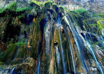 میزبانی که نمی تواند به شایستگی از پس «حبیب خدا» برآید/ باغ داران خوشحال و مسافران سرگردان