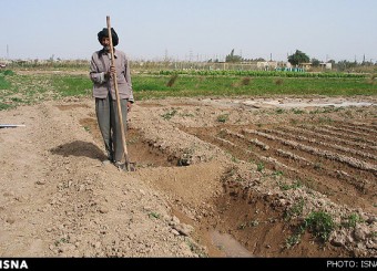 بدهی کشاورزان داراب به امور اراضی پرداخت می‌شود