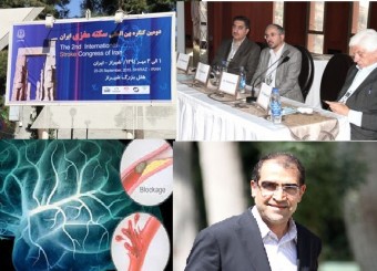 دومین کنگره بین‌المللی سکته مغزی