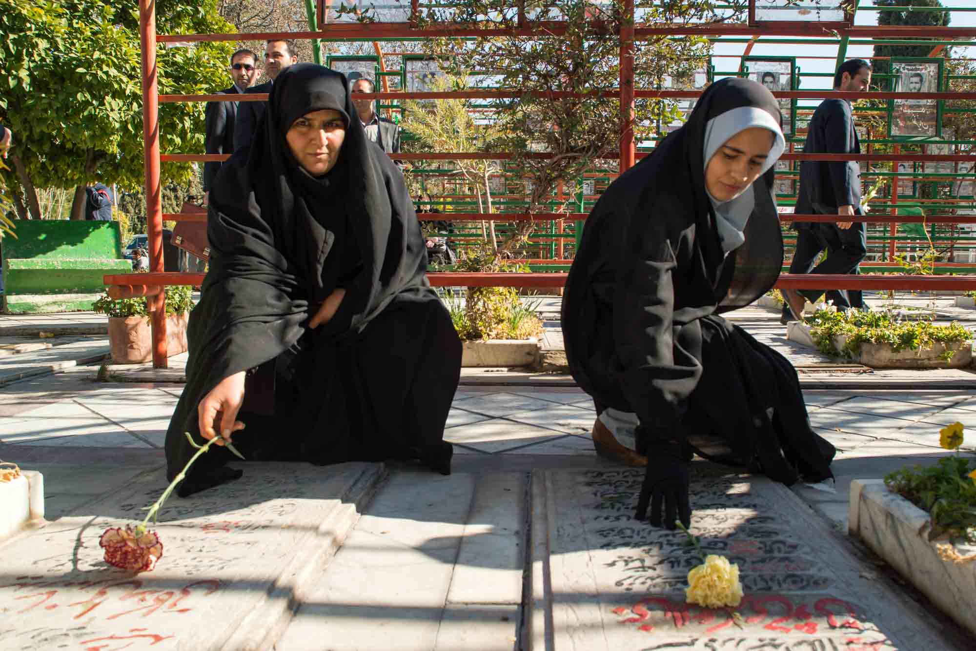 میهمانی لاله ها در شیراز