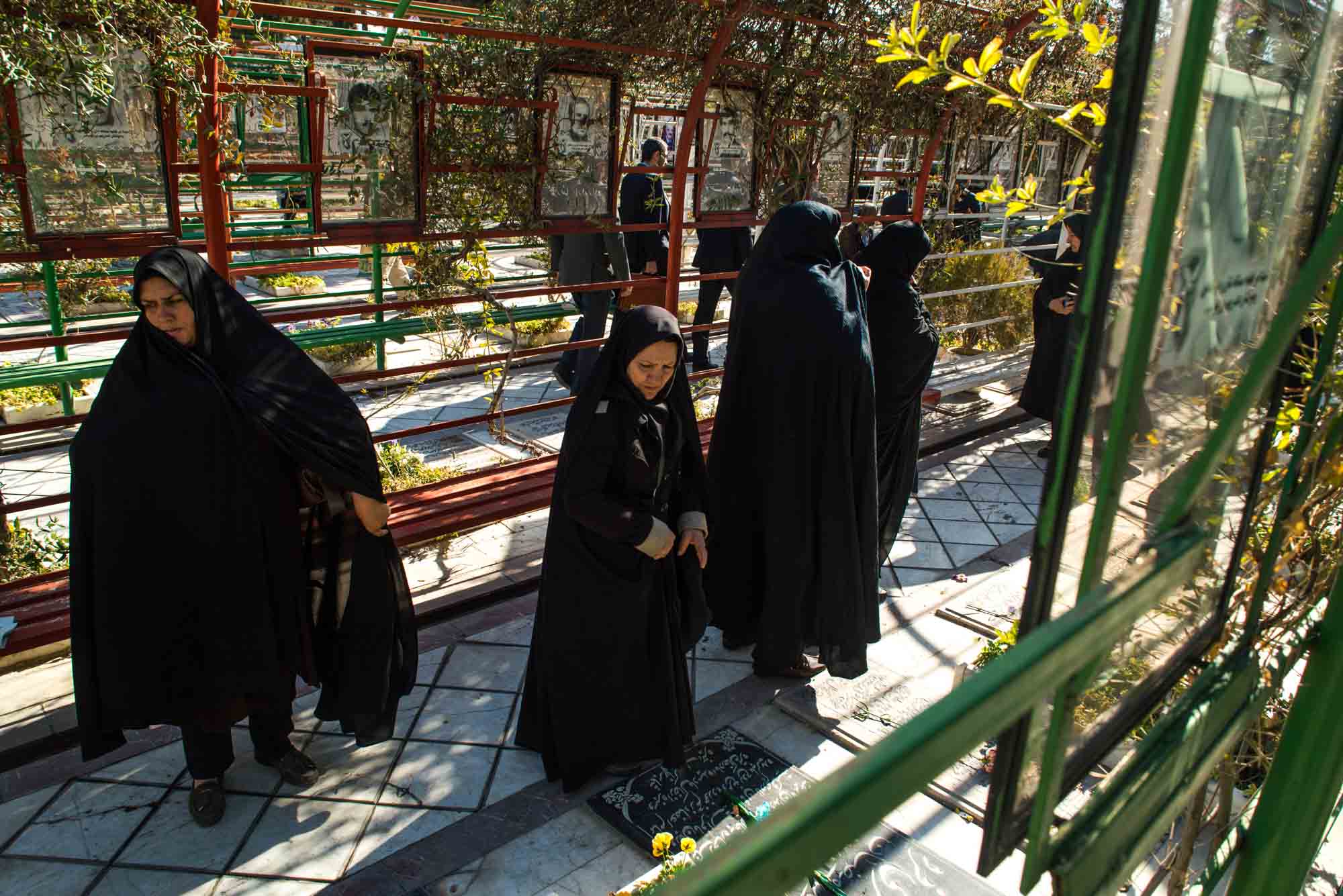 میهمانی لاله ها در شیراز