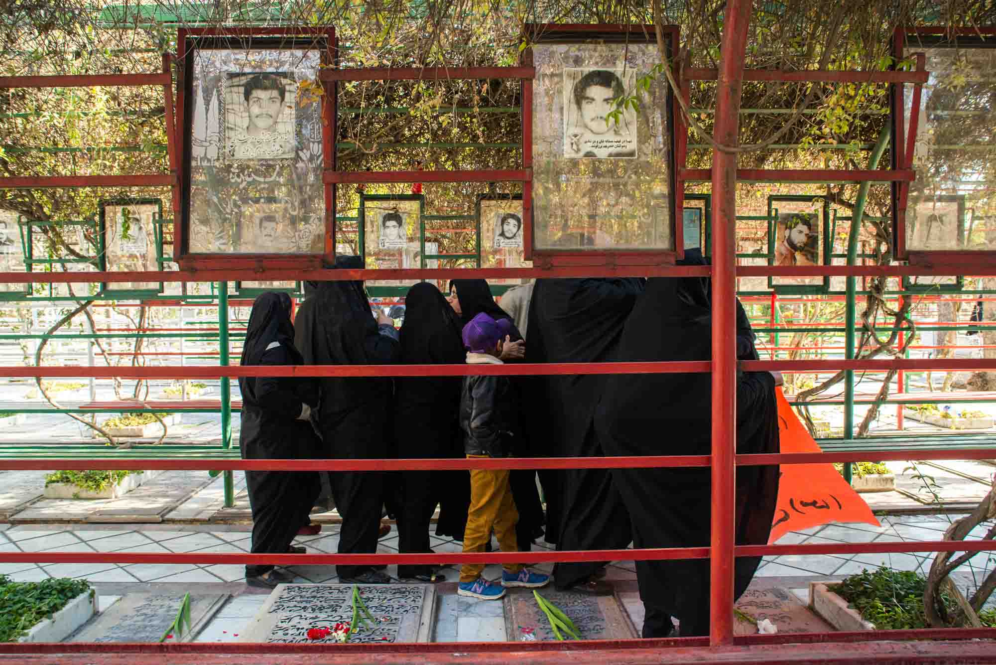 میهمانی لاله ها در شیراز