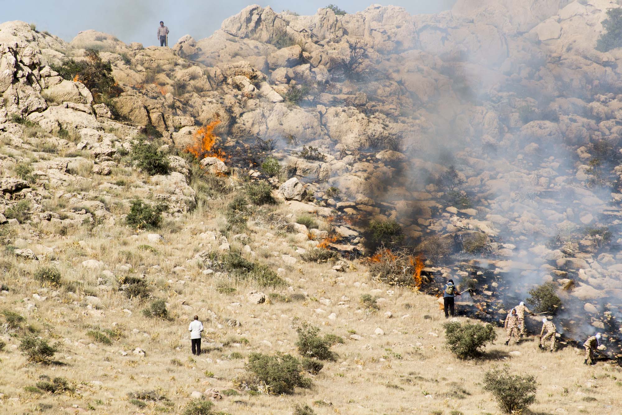 آتش سوزی پارک ملی بمو
