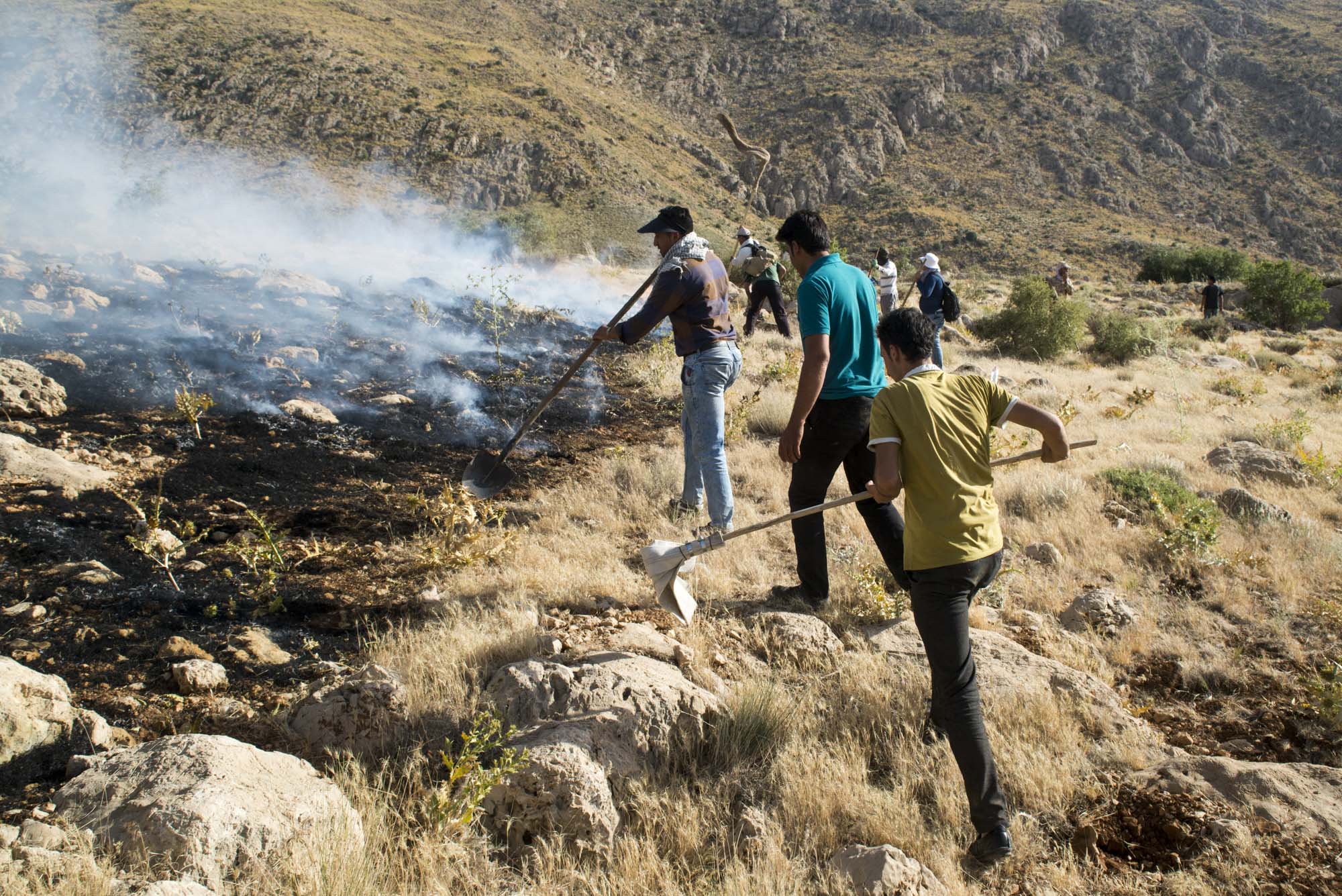 آتش سوزی پارک ملی بمو
