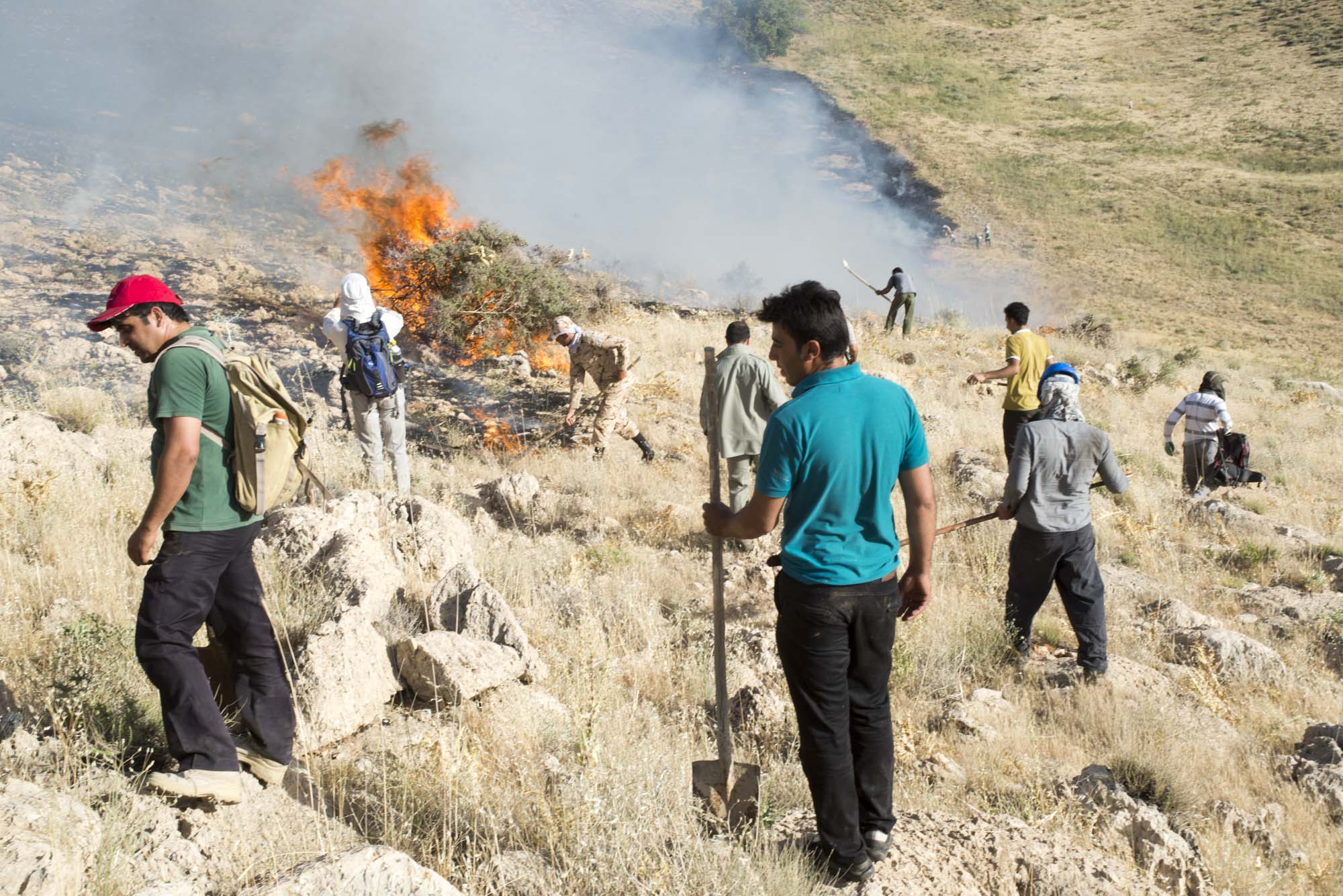 آتش سوزی پارک ملی بمو