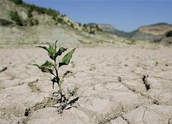 باید امسال دست‌کم ۲۹۰ میلیمتر باران می‌بارید اما ۸۸ میلیمتر باران داشتیم/ عمق چاه‌های استان از ۵۰۰ متر فراتر رفته است!