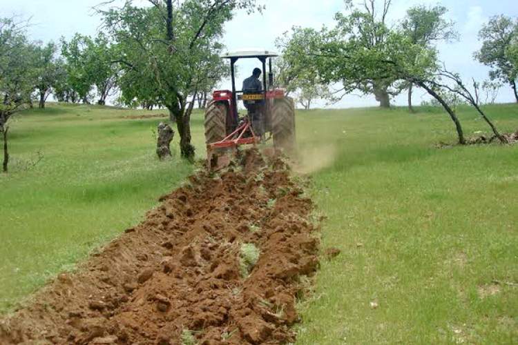 احداث "آتش بر" در سطح 10 کیلومتر از اراضی ملی شهرستان لارستان