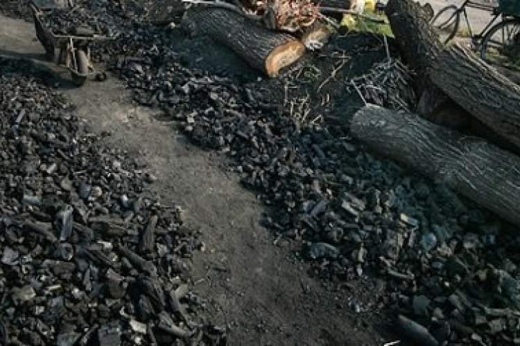 کشف و ضبط ۵۰۰ کیلوگرم زغال جنگلی قاچاق در شهرستان رستم