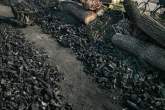 کشف و ضبط ۵۰۰ کیلوگرم زغال جنگلی قاچاق در شهرستان رستم