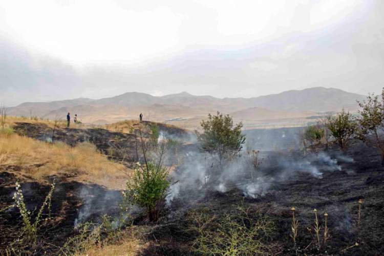 10 سال زندان برای عامل آتش سوزی مراتع داراب