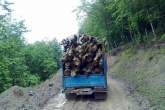 باند بزرگ قاچاق چوب های جنگلی در شهرستان رستم متلاشی شد