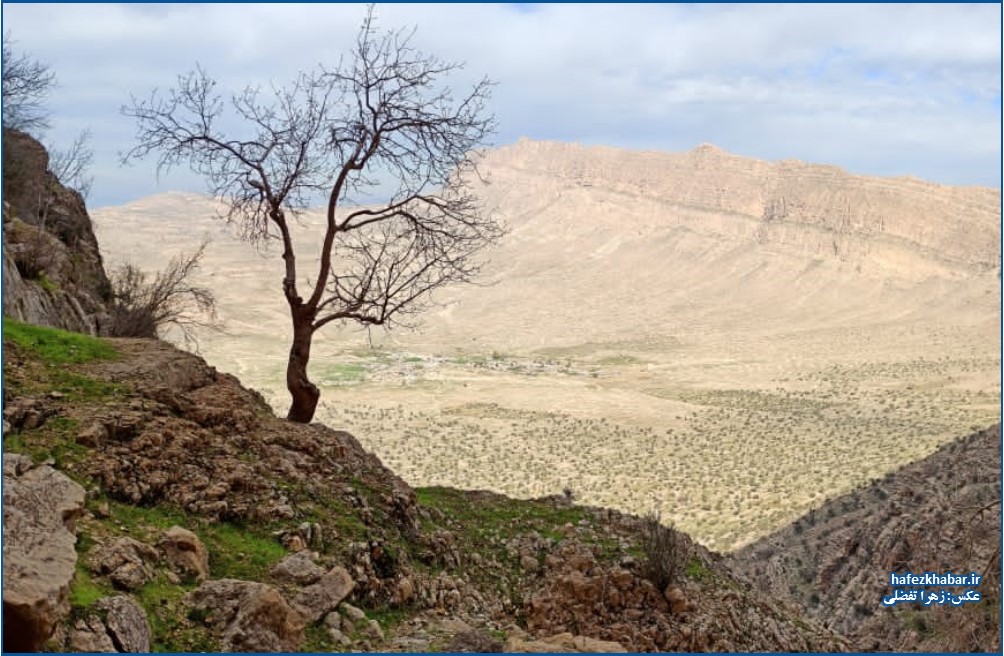 نگارخانه از روستای الیف کمارج کازرون