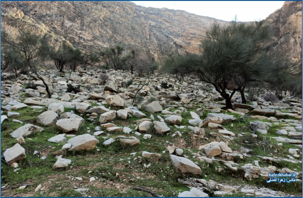 نگارخانه از روستای الیف کمارج کازرون