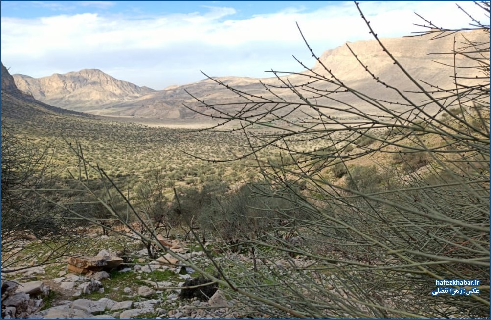 نگارخانه از روستای الیف کمارج کازرون