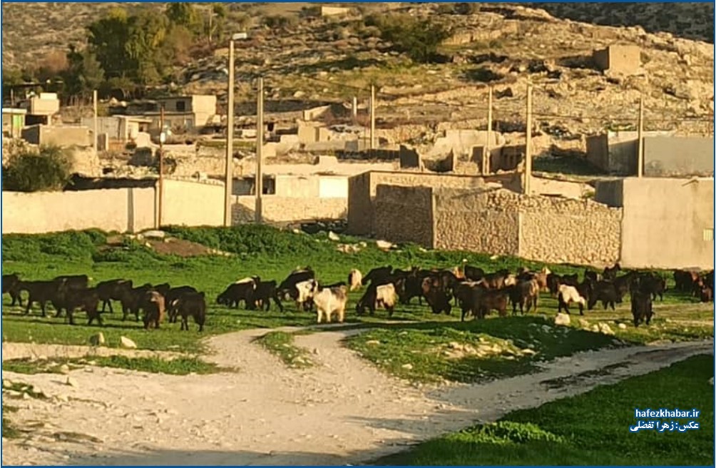 نگارخانه از روستای الیف کمارج کازرون