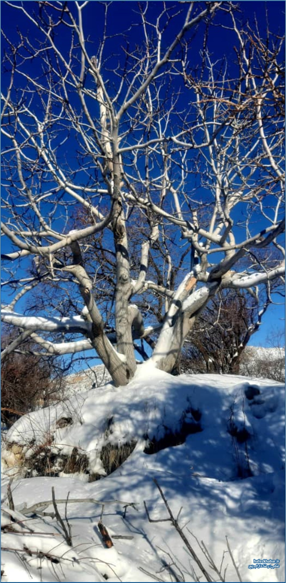 بلندی‌های برف‌خیز روستای بورنجان کازرون