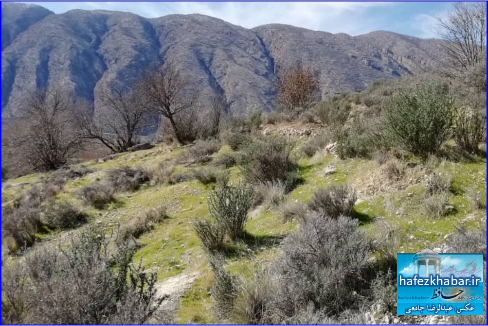 زیبایی‌های روستای گاوکشک کازرون