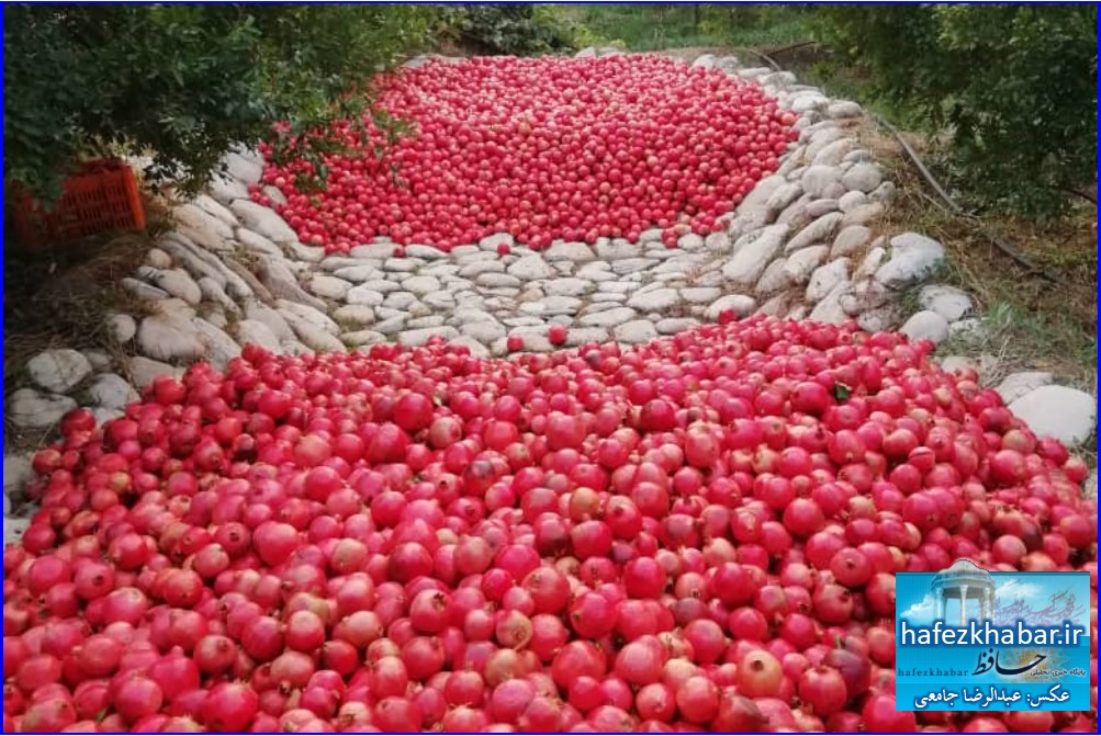 زیبایی‌های روستای گاوکشک کازرون