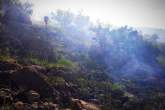 مراتع جنگلی امامزاده اسماعیل (ع) اقلید در آتش سوخت